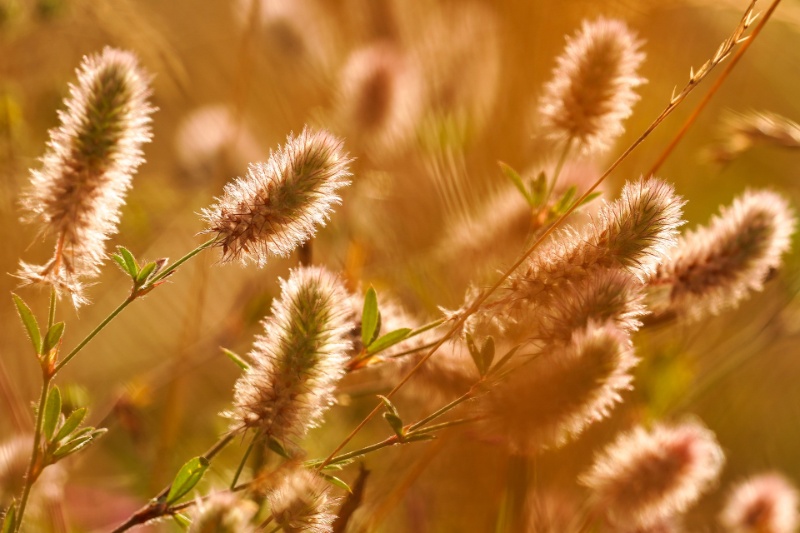 Profilbild von Astrid Silwar