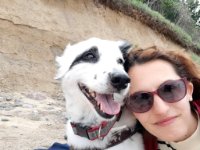 ein Bild aus dem Album