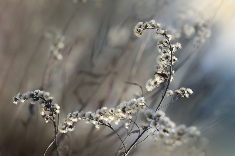 Profilbild von Ulrich Richter